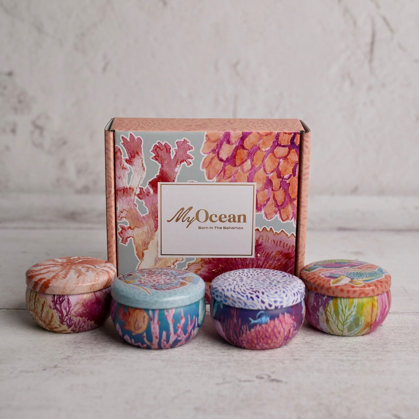 Coral Reef Gift Box (Option C)
