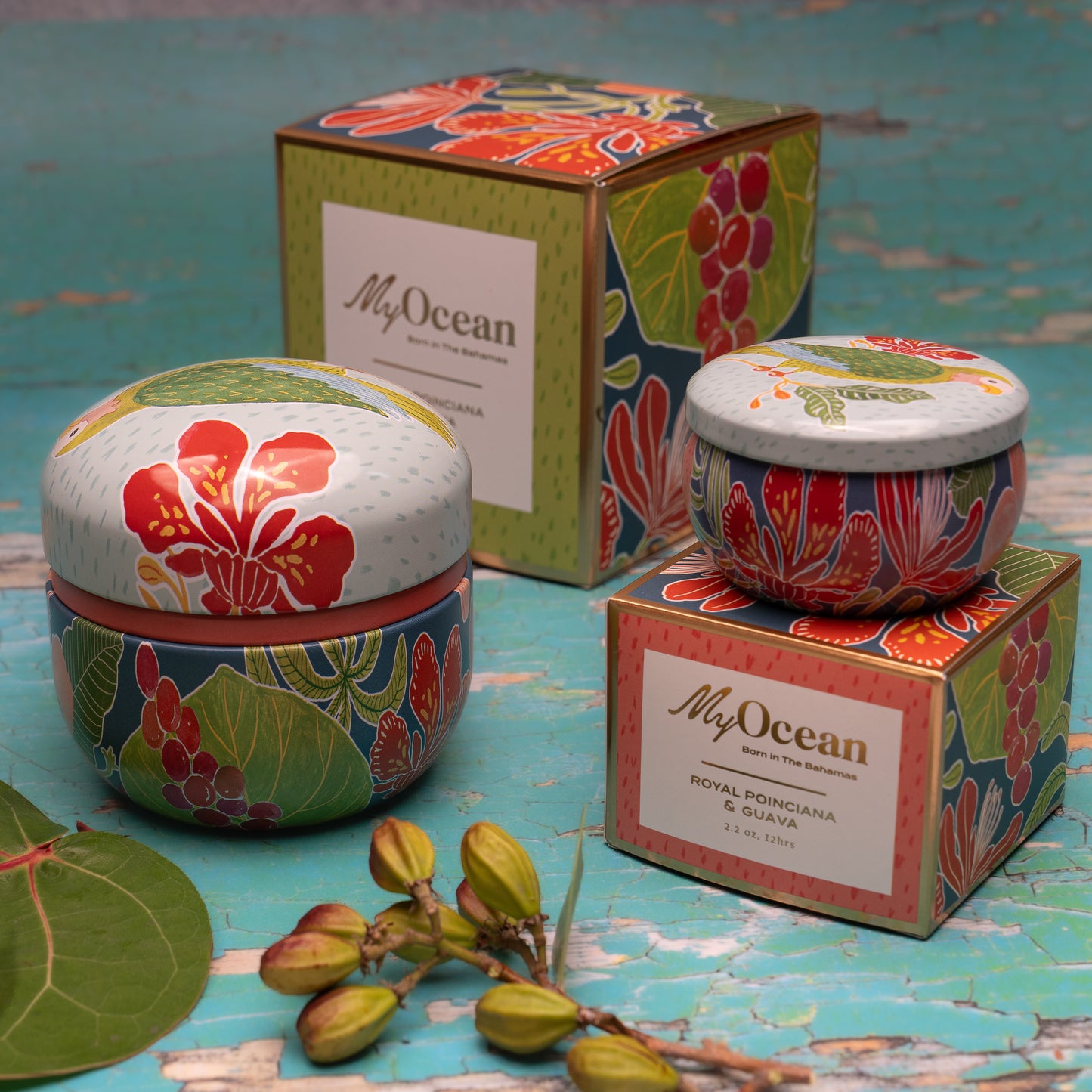 Royal Poinciana & Guava