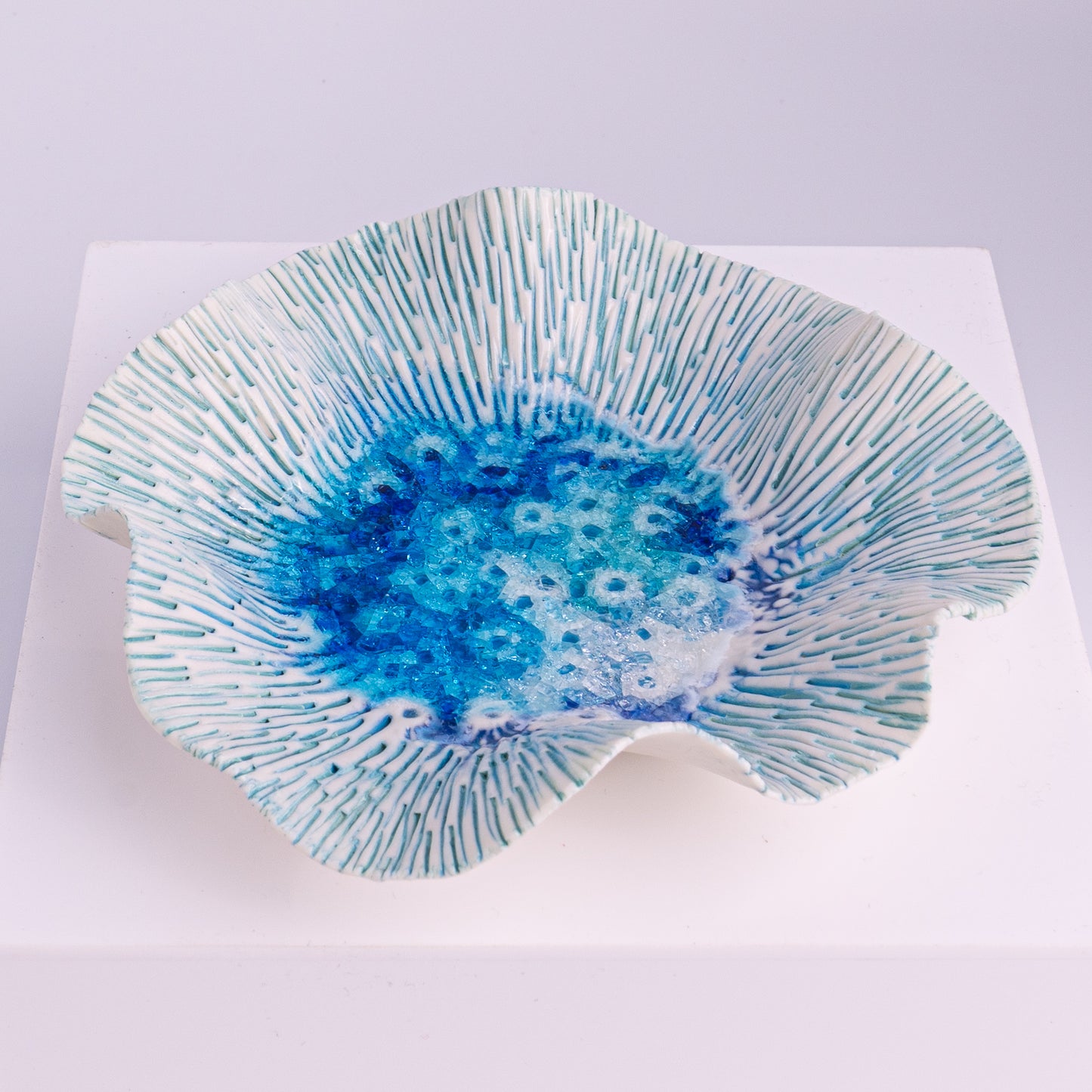 Ode to the Reef Gallery Bowl