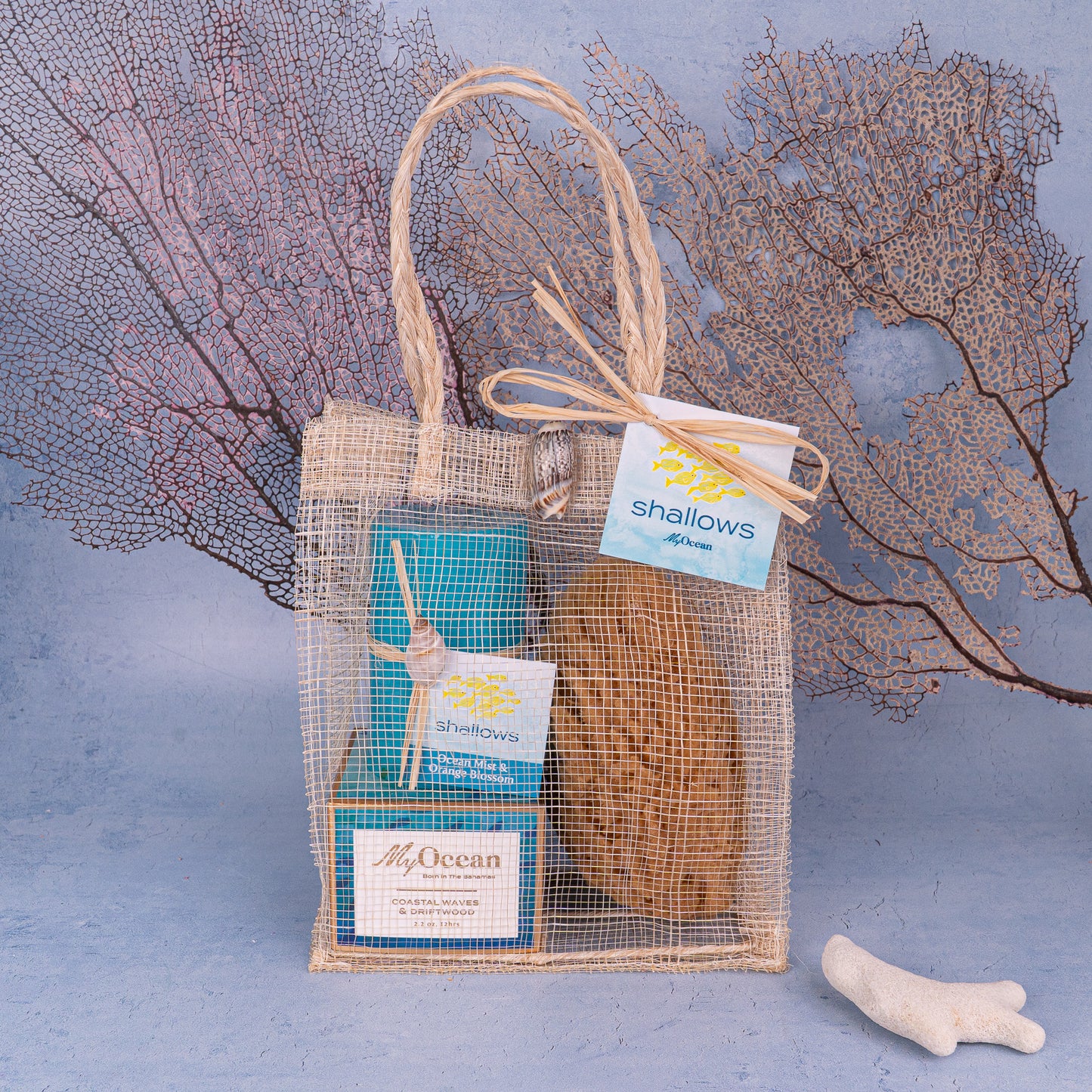 GIFT BAG COASTAL WAVES & DRIFTWOOD
