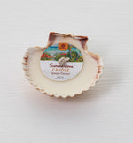SUMMERTIME JASMINE & COCONUT SCENTED CLAM SHELL CANDLE