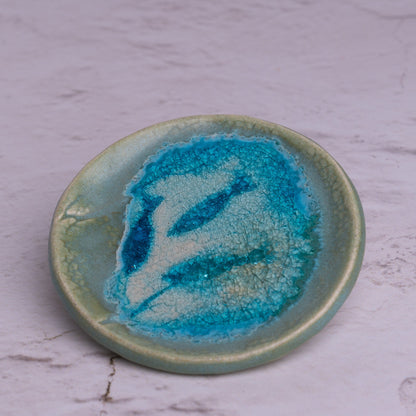 Round Dish Shallow Med