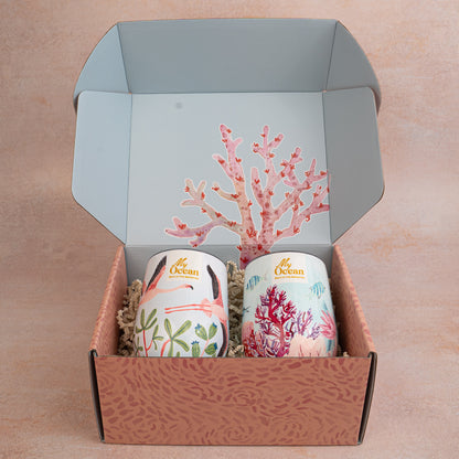 Coral Curated Gift Box