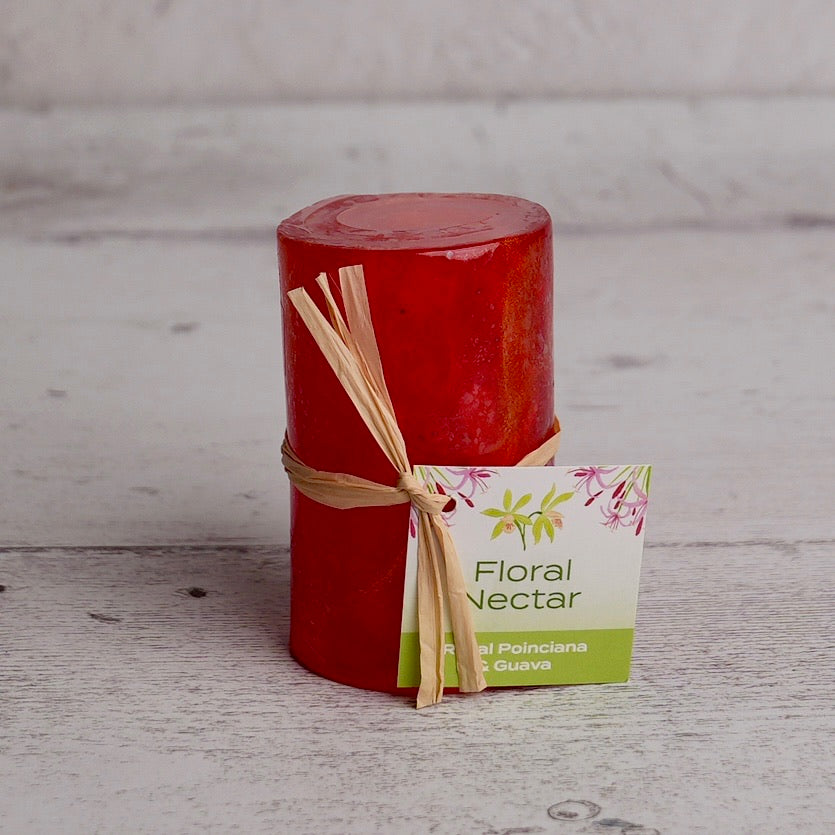 Abaco Gift Box with Coral bowl (Option B)