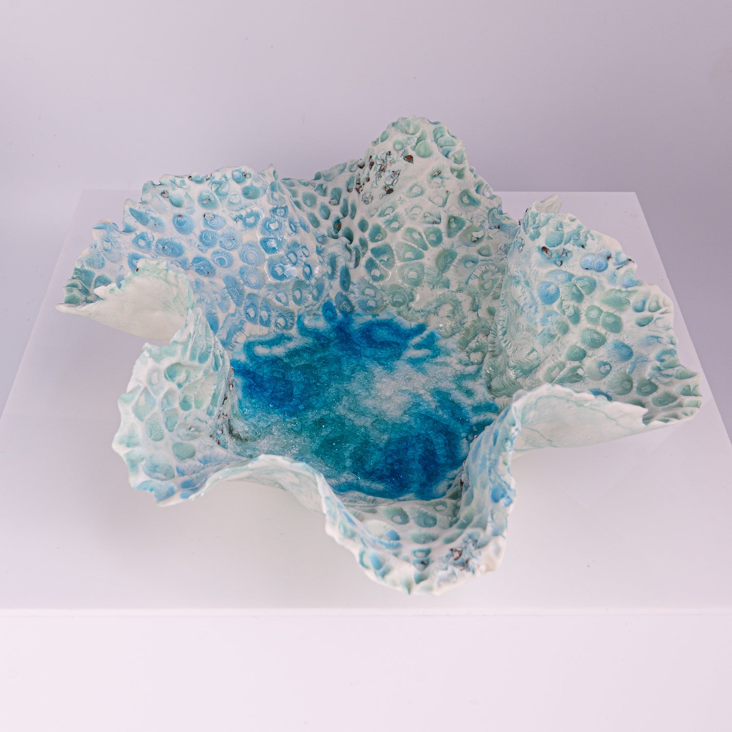 Tide Pool Gallery Bowl