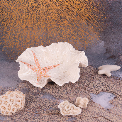 GALLERY CERAMIC
