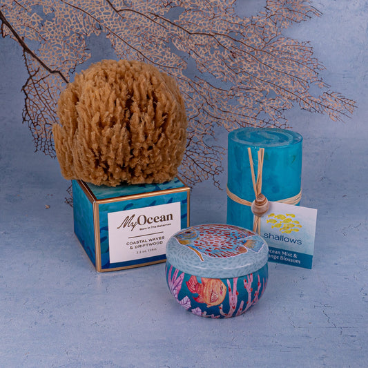 GIFT BAG COASTAL WAVES & DRIFTWOOD