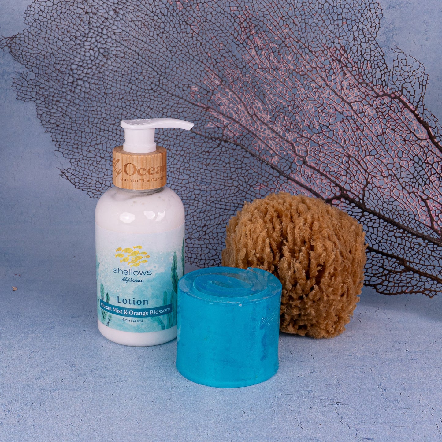 SHALLOWS BAG MED LOTION SOAP SPONGE