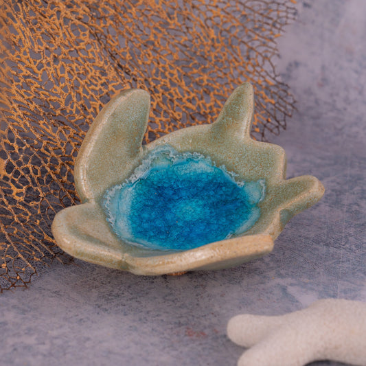 Turtle Dish Shallows