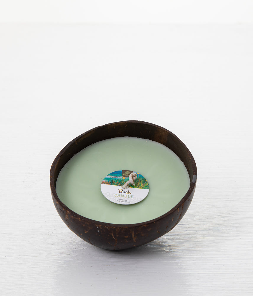 
            
                Load image into Gallery viewer, BUSH CERASEE SCENTED COCONUT SHELL CANDLE BOWL
            
        