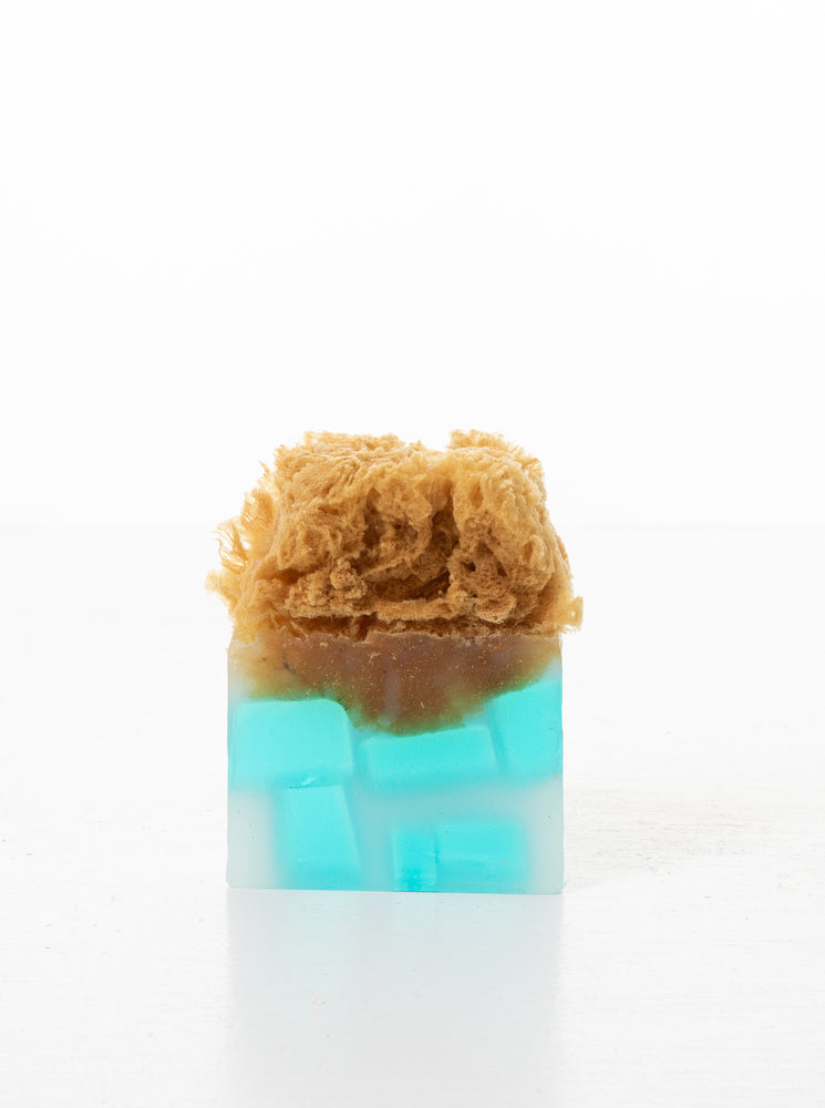 
            
                Load image into Gallery viewer, BLUE HOLE WILD SAGE BODY SOAP SPONGE
            
        