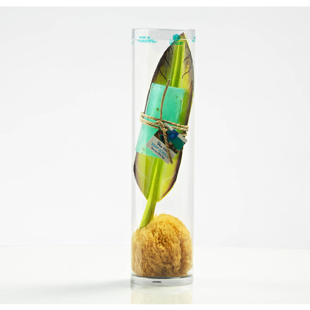 
            
                Load image into Gallery viewer, BLUE HOLE WILD SAGE BODY SOAP SCROLL ON BIRDS OF PARADISE LEAF WITH SPONGE IN WAVE TUBE
            
        