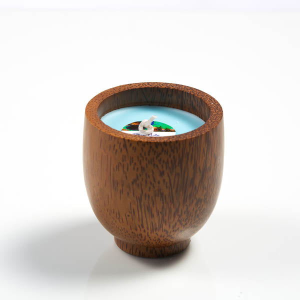 
            
                Load image into Gallery viewer, BLUE HOLE COCONUT BOWL CANDLE
            
        