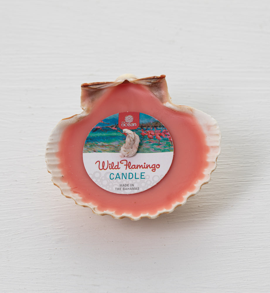 
            
                Load image into Gallery viewer, WILD FLAMINGO COCONUT &amp;amp; SHEA SCENTED CLAM SHELL CANDLE
            
        