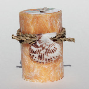 
            
                Load image into Gallery viewer, SMALL MANGO &amp;amp; HIBISCUS PILLAR CANDLE
            
        