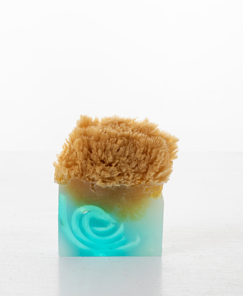 
            
                Load image into Gallery viewer, SHALLOWS CITRUS &amp;amp; SEAWEED BODY SOAP SPONGE
            
        