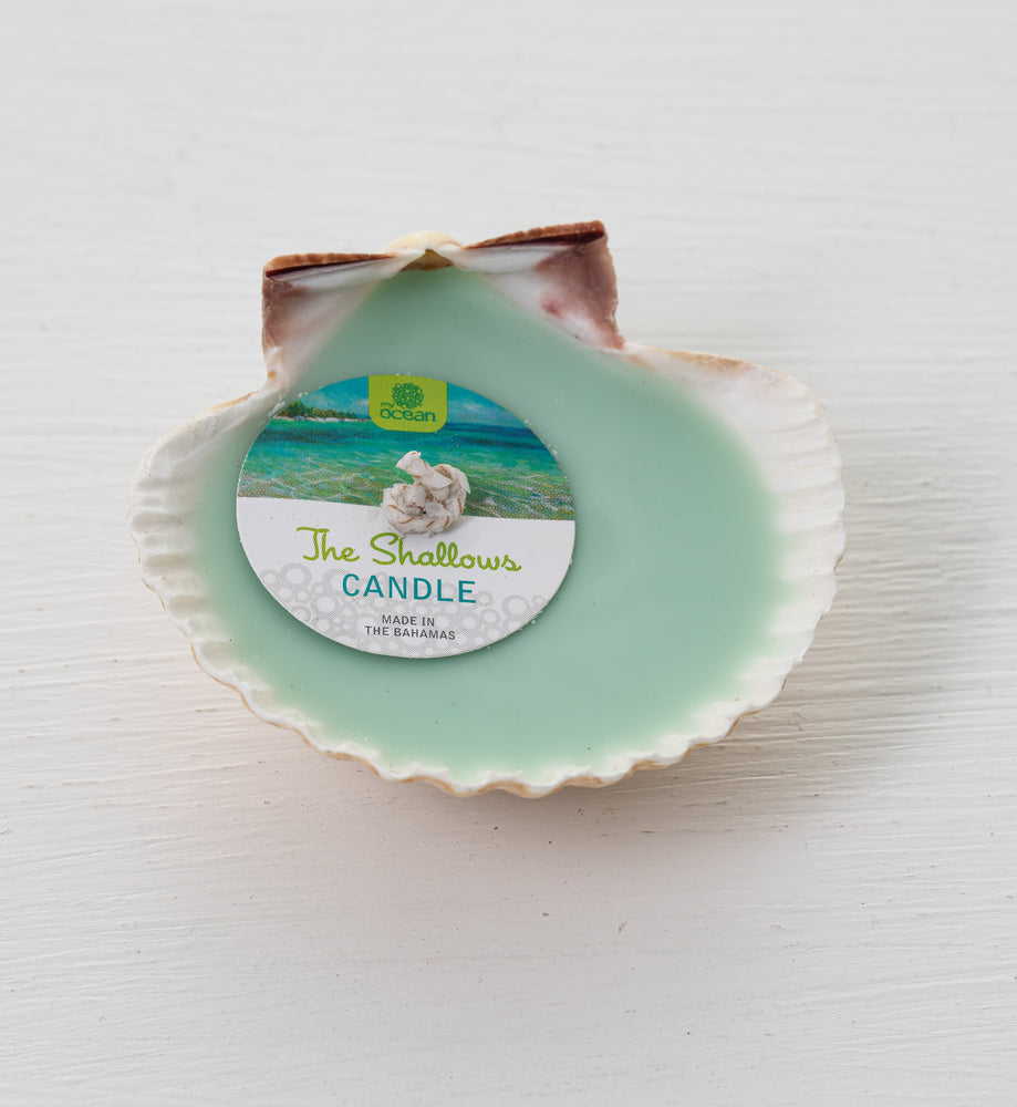 
            
                Load image into Gallery viewer, SHALLOWS CITRUS SCENTED CLAM SHELL CANDLE
            
        